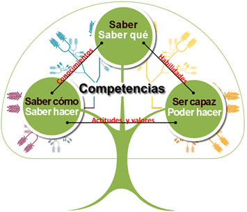 COMPETENCIAS